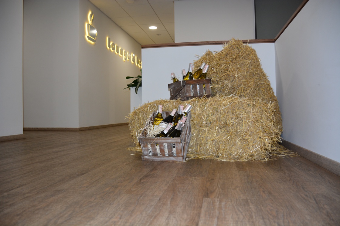 Свято молодого вина