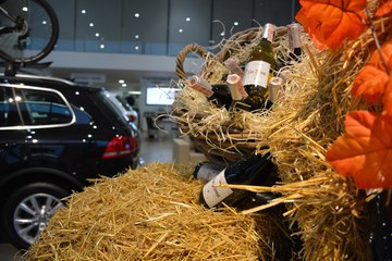 Свято молодого вина